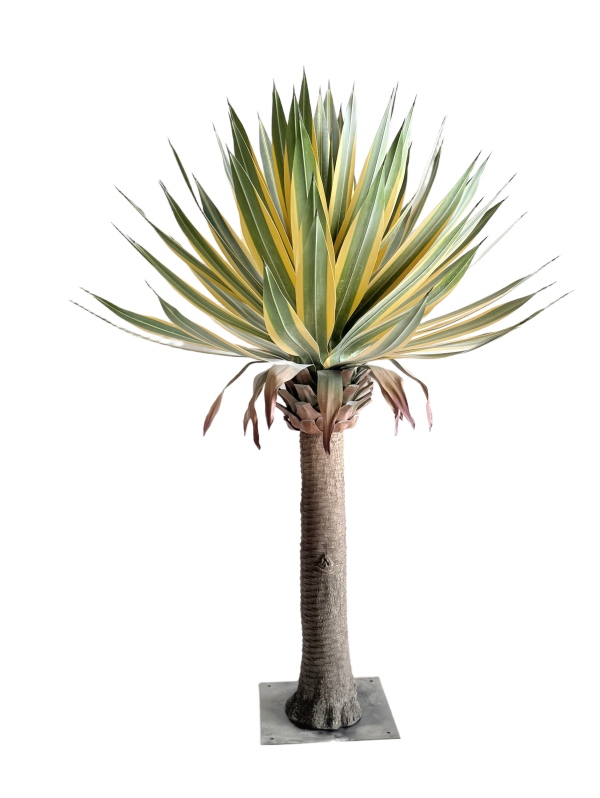 Giant Agave Sisalanas