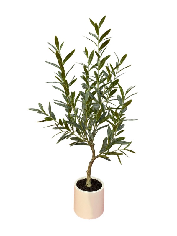 Handtouch Olive Trees