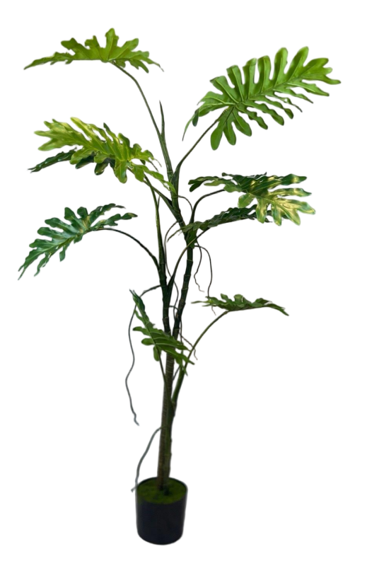 Lifelike Philodendron Selloum