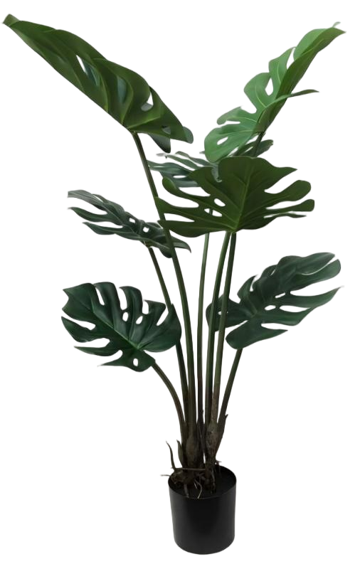 Lifelike Monstera Deliciosa