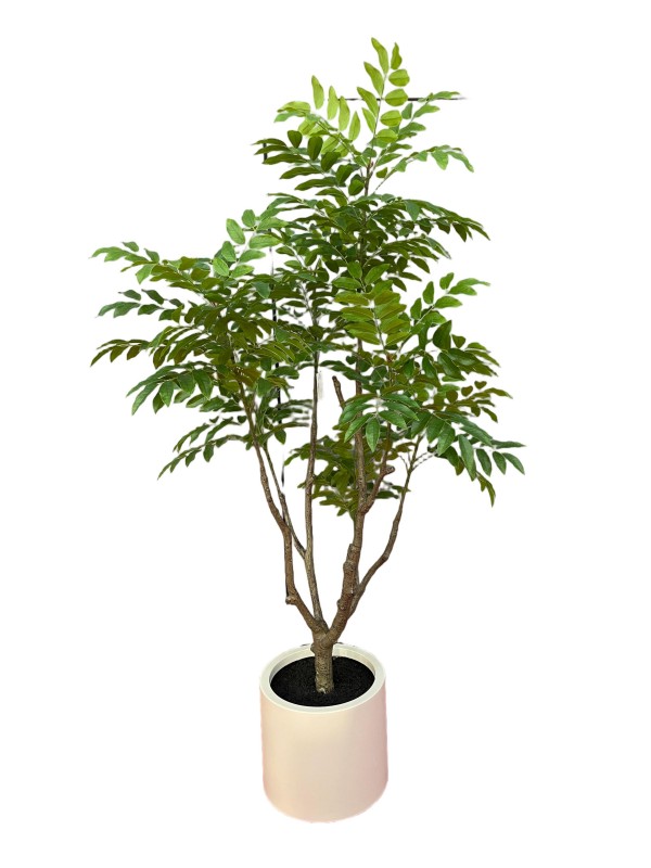 Lifelike Toxicodendron Tree