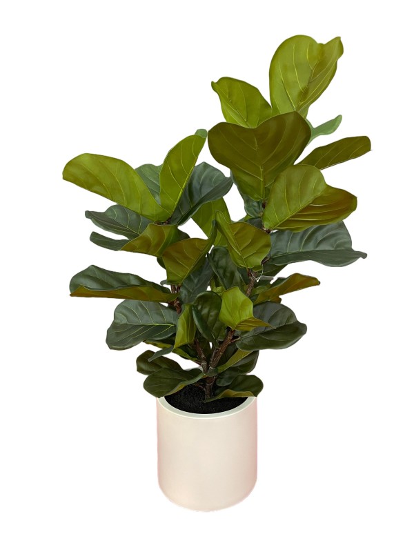 Lifelike Ficus Lyrata-Fiddle Leaf Tree