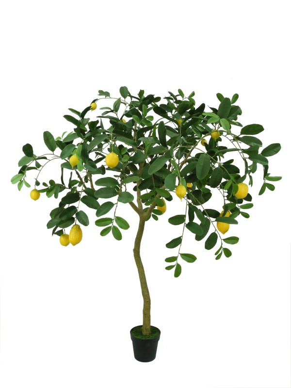 Lifelike Lemon Tree