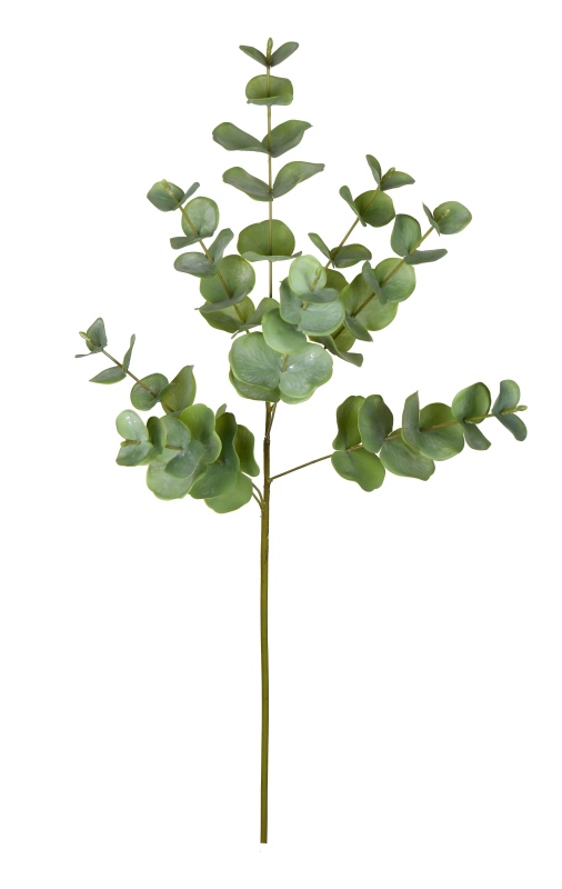 Handtouch Eucalyptus Branches