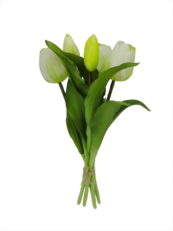 Handtouch Tulips