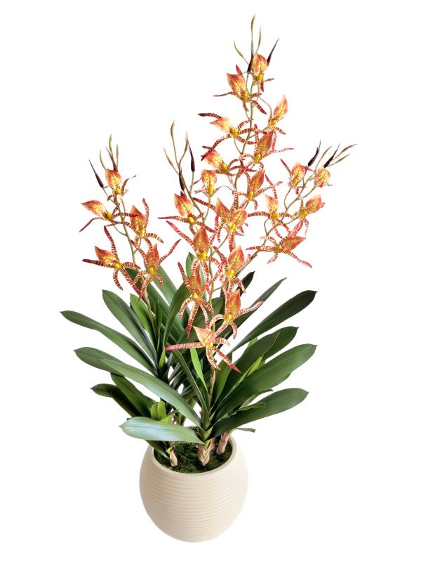 Handtouch Dendrobium Flowers