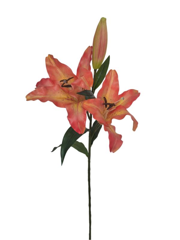 Handtouch Tiger Lilies