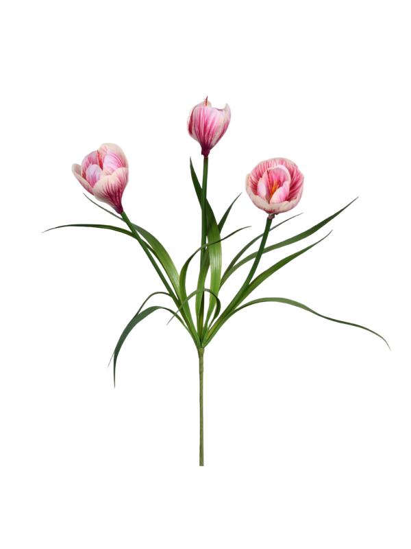 Handtouch Crocus
