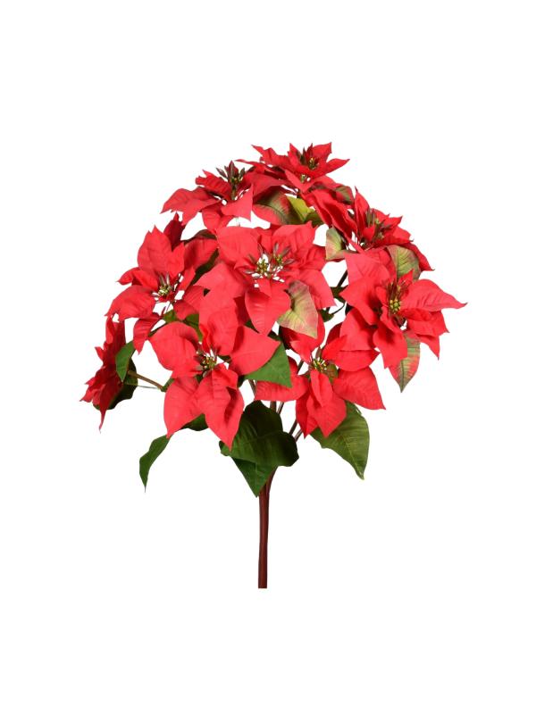 Handtouch Poinsettia