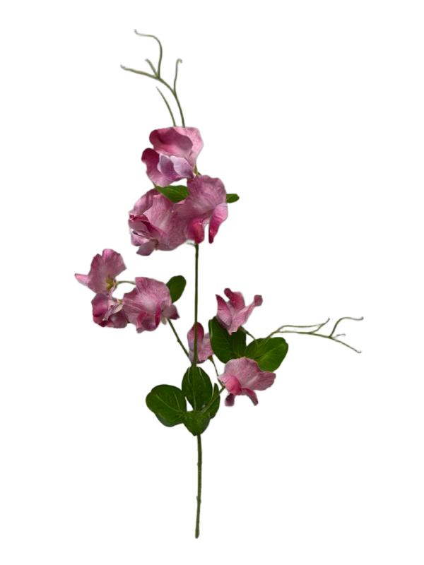 Handtouch Pea Flower