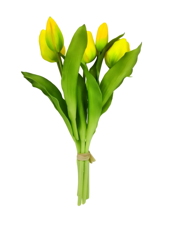 Handtouch Tulips