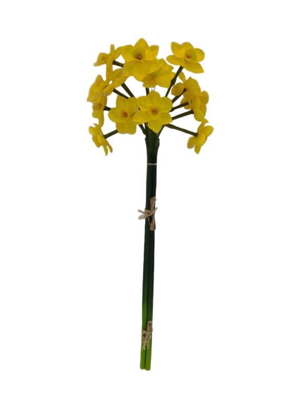 Handtouch Narcissus