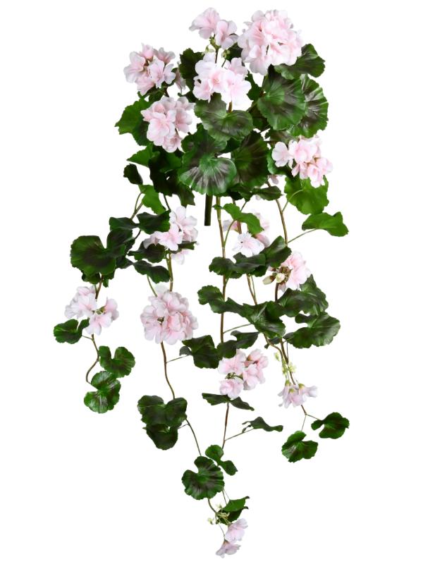UV Geranium Bush